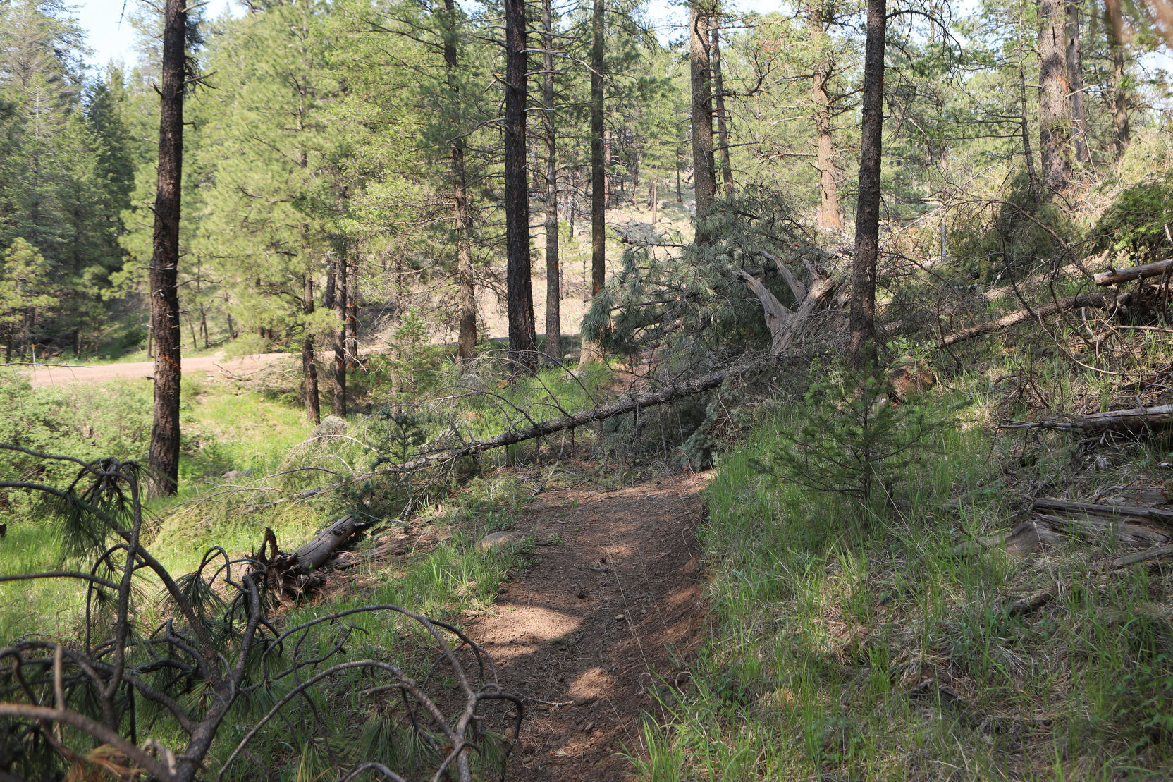 Blocked Trail